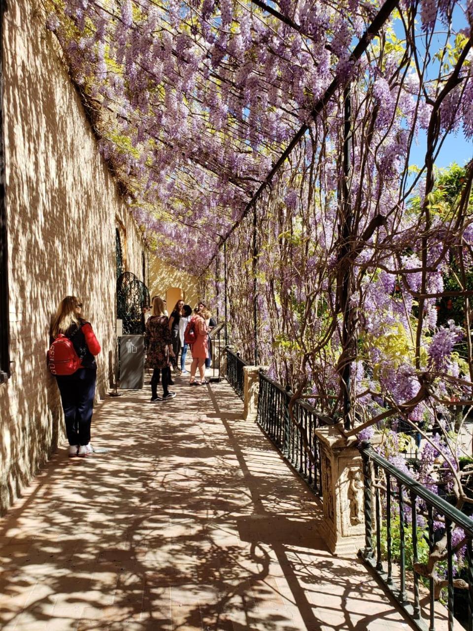 Appartement Jardin De Santa Paula